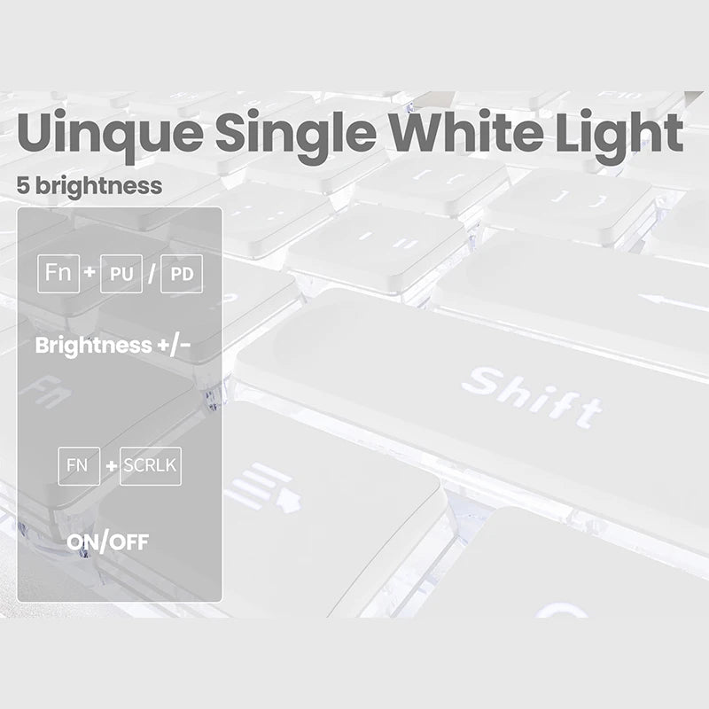 EWEADN V3 wireless and BT Membrane Keyboard, 104 Keys Full Size, quiet Keyboards light up, for office and gaming, Desktop, PCS